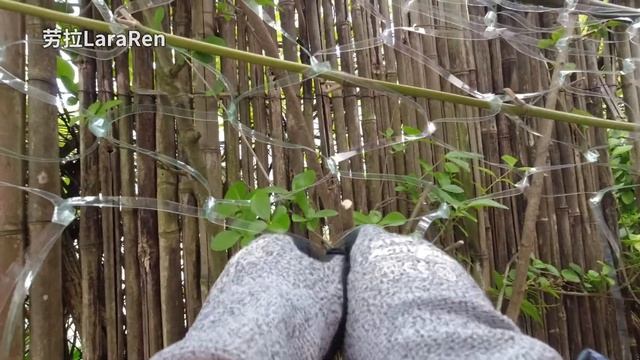 130.废弃饮料瓶变身植物攀爬网 可乐瓶矿泉水瓶再利用 смотреть онлайн