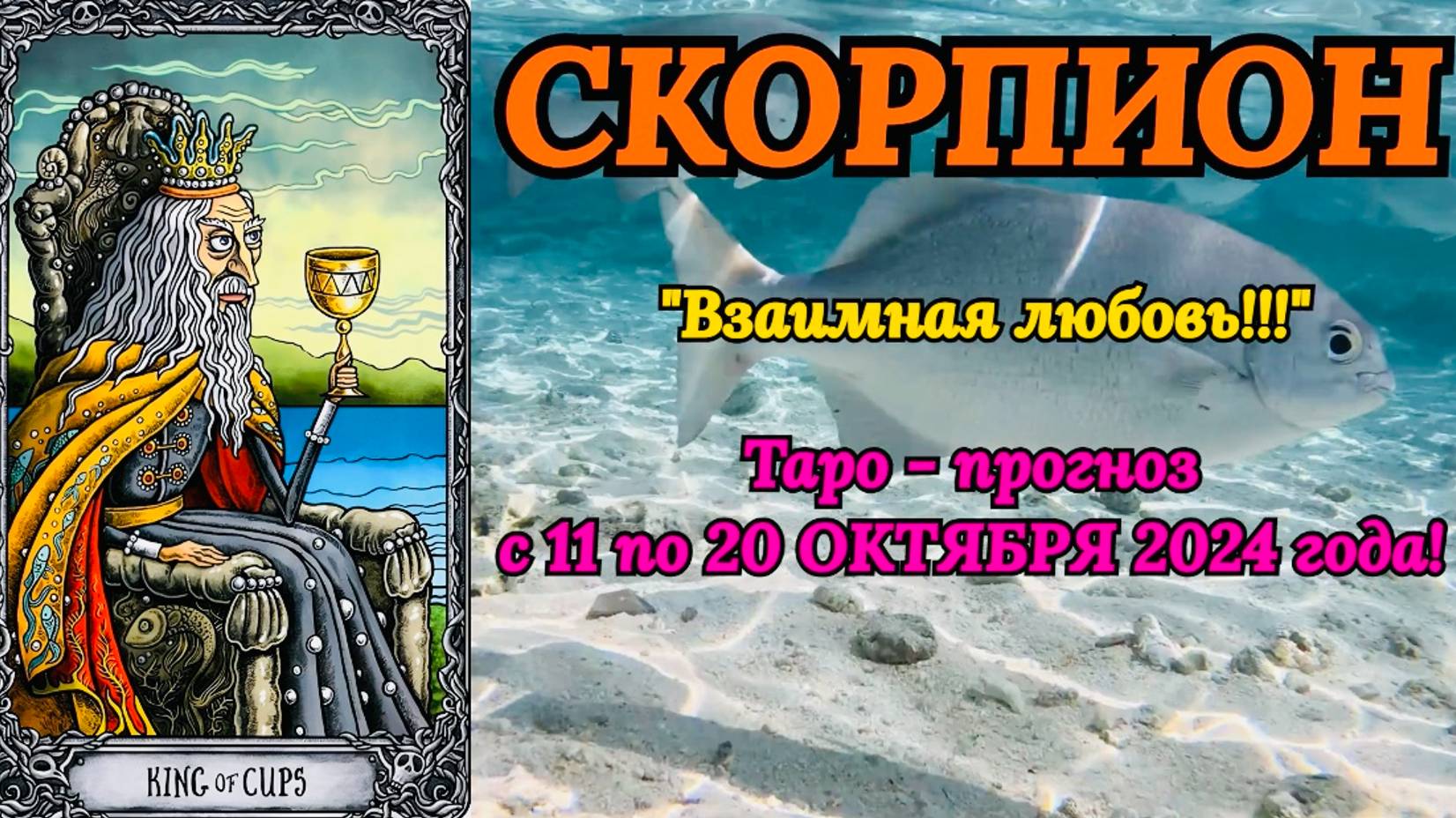 СКОРПИОН: "ТАРО-ПРОГНОЗ с 11 по 20 ОКТЯБРЯ 2024 года!" смотреть онлайн