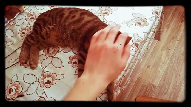 Зашёл на кухню , а там такое ........ смотреть онлайн