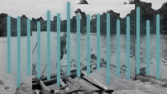 Beloveds - 'Klaus Kinski' Music Video смотреть онлайн