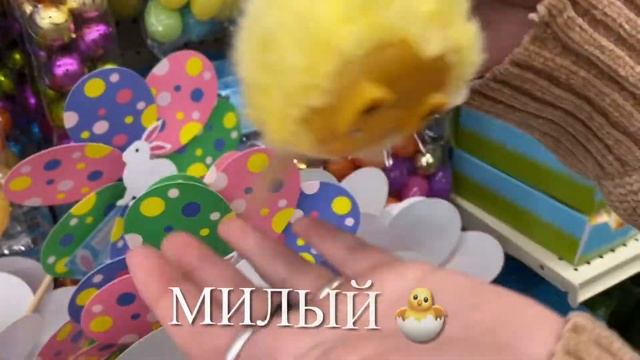 Поход в магазин Big Lots , организация кухни США ВЛОГ смотреть онлайн