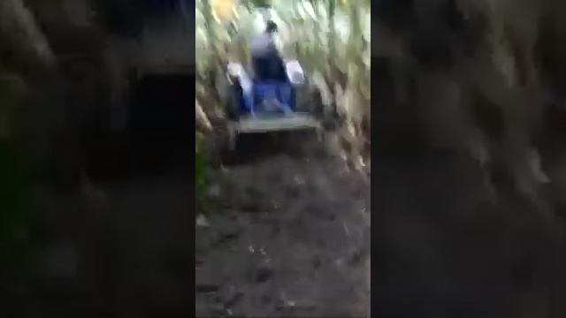 Ox25 orchard force motors Power смотреть онлайн