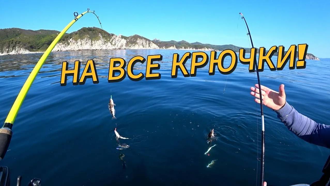 Окунь клюёт стабильно | Рыбалка в море