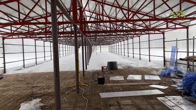 Обзор новой теплицы в Егорьевском питомнике Никитенко Александра смотреть онлайн