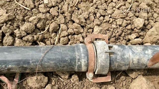 Drip Irrigation system के बारे में पूरी जानकारी।💧टपक सिंचाई।Fitting, Price, Mantanaince смотреть онлайн