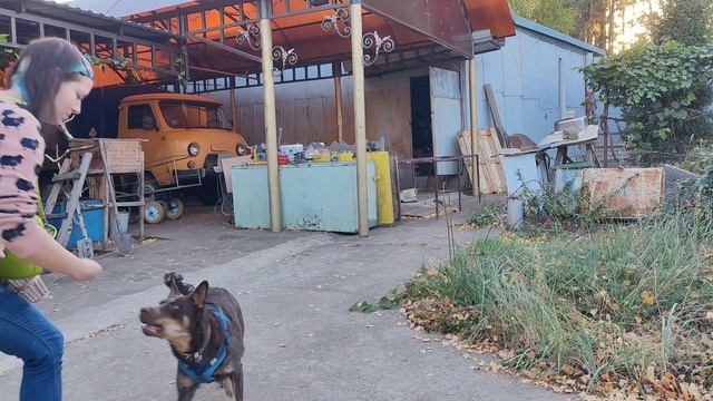 Стоп-рука смотреть онлайн