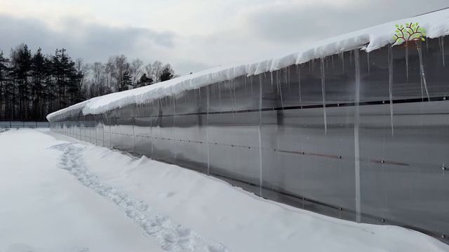 Обзор снеговой нагрузки на теплицу в Егорьевском питомнике Никитенко Александра смотреть онлайн