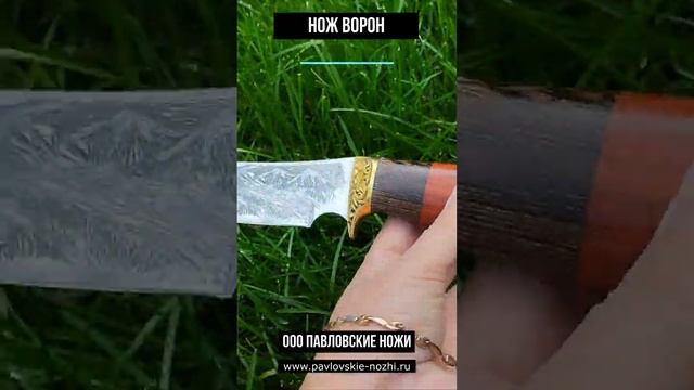 Нож Ворон #нож #обзор #knifeworld #топ смотреть онлайн