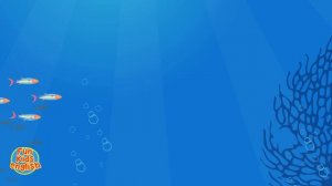 Vehicles & Transport Song | Fun Kids English