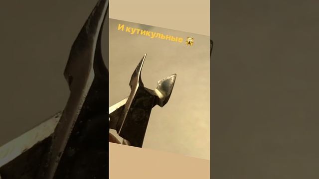Как ЗАТОЧИТ Дилетант 🙀 и как должно БЫТЬ🤩 смотреть онлайн