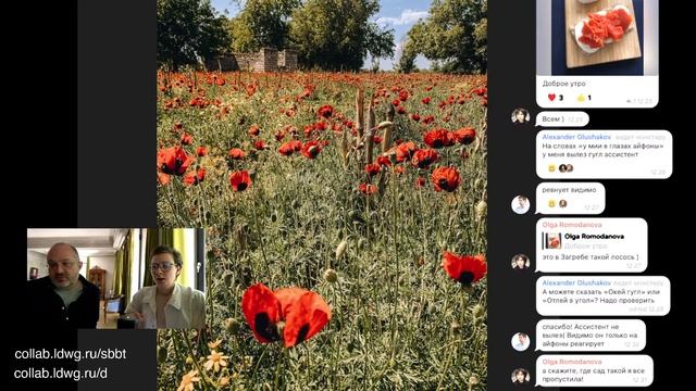 Тбилисская жизнь в фотках. Конец мая, сырниковая передача 87 смотреть онлайн