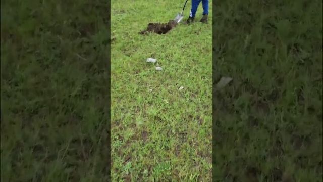 коп металла смотреть онлайн