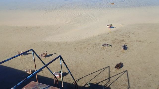 п.Белое озеро смотреть онлайн