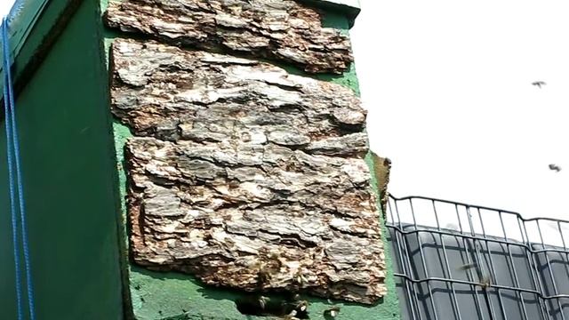 поздний рой день второй смотреть онлайн
