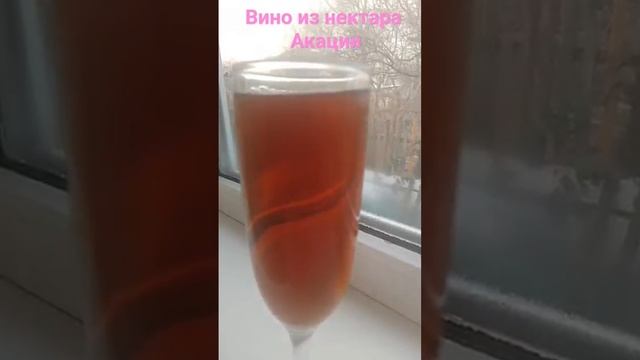 Готовое вино из нектара цветков акации
