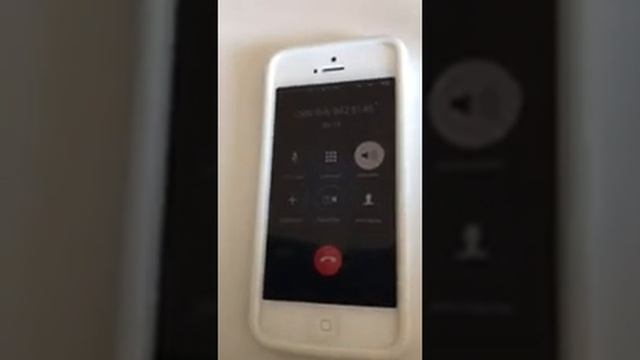 НОВЫЙ ЗВОНОК из OLX! Розводят кроликов на деньги! Ч-1 смотреть онлайн