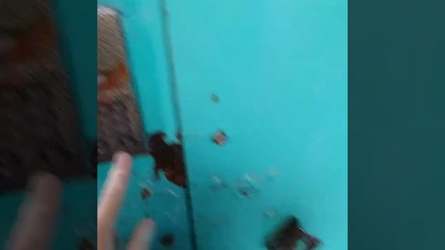 Открыл домофон с помощью монетки смотреть онлайн