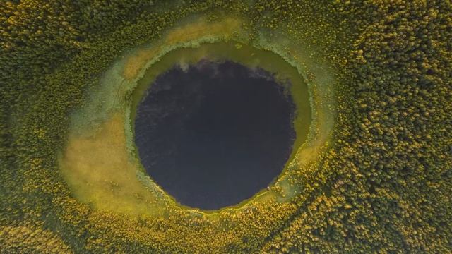 Relaxing Music For Work and Studying - Bach-Goldberg Variation By Andras Schiff смотреть онлайн