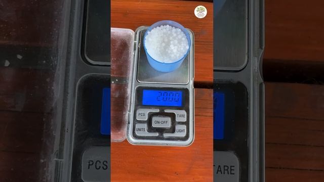 Высохло дерево? Что делать? #shorts #сад #дача #огород смотреть онлайн