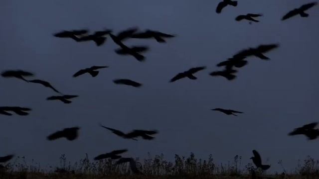 Фильм "Аян" реж. Садык Шер-Нияз Film"Аyan" by Sadyk Sher-Niyaz смотреть онлайн