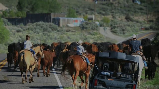 À TRAVERS 4 ETATS DU SUD-OUEST DES USA смотреть онлайн