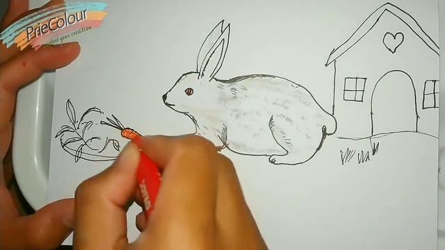 Menggambar Kelinci lucu yang mudah untuk pemula | How to draw cute rabbit for beginner смотреть онлайн