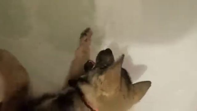 Юта желает принять ванну 🙂 смотреть онлайн