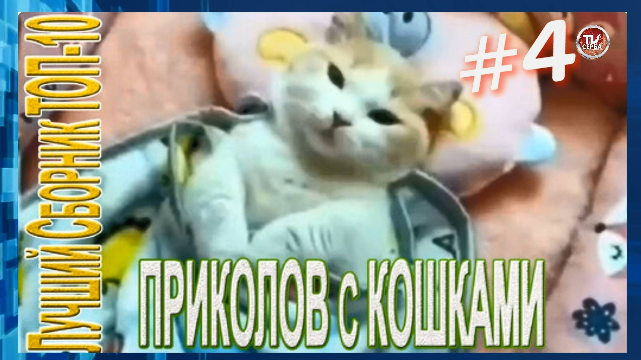 Топ-10 ПРИКОЛОВ с КОШКАМИ 🐱 СМЕШНЫЕ КОШКИ 😂 ЛУЧШИЕ ПРИКОЛЫ С КОТАМИ (4 часть) смотреть онлайн