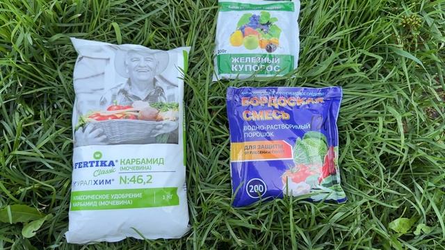 Осенние работы в саду от агронома Егорьевского питомника Никитенко Александра. Часть 2 смотреть онлайн