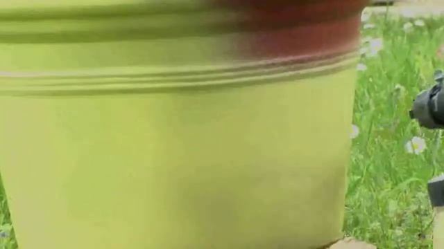 Exterior Painting For The Home - Flower Pots смотреть онлайн