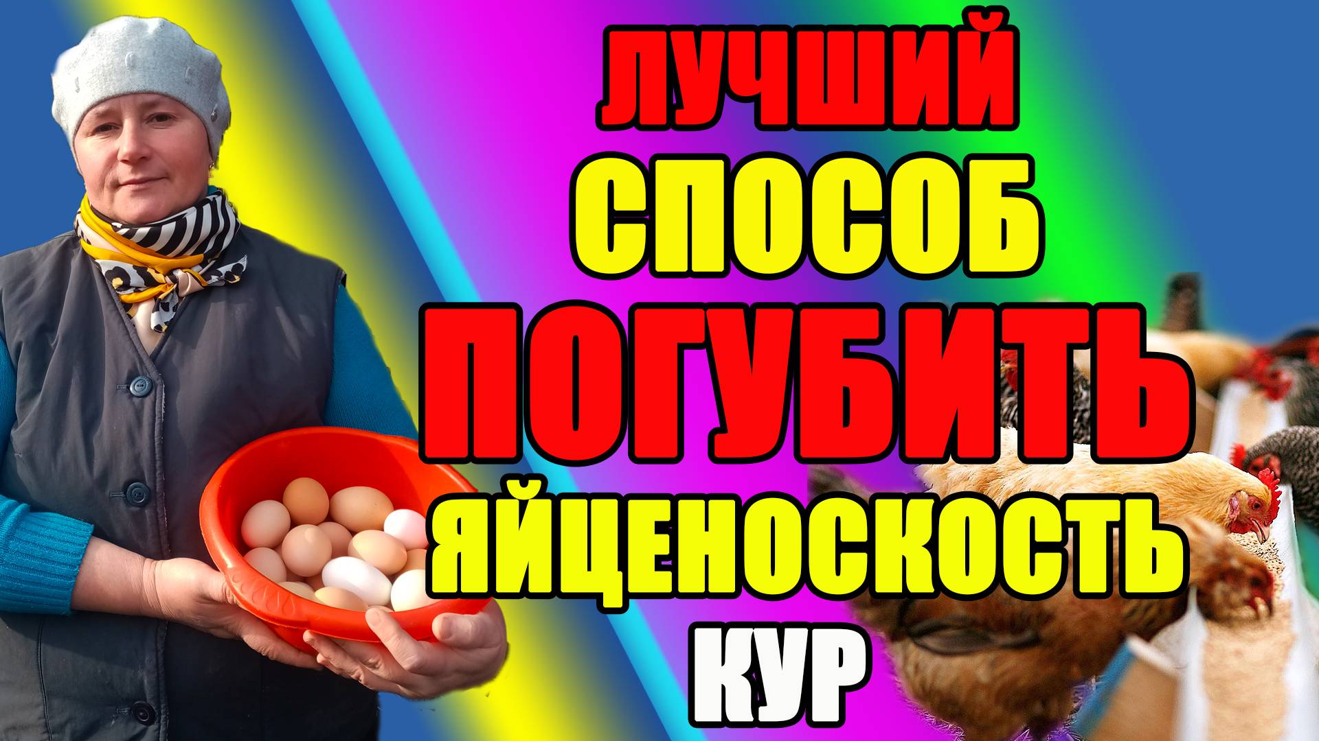 Лучший способ - как ПОГУБИТЬ яйценоскость кур. смотреть онлайн