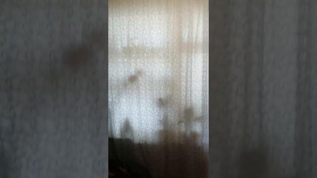 Продаётся комната в пос. Новосиликатный, ул.Суворова, 12 смотреть онлайн