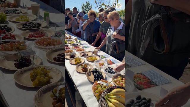 День винограда в Егорьевском питомнике 2024 смотреть онлайн