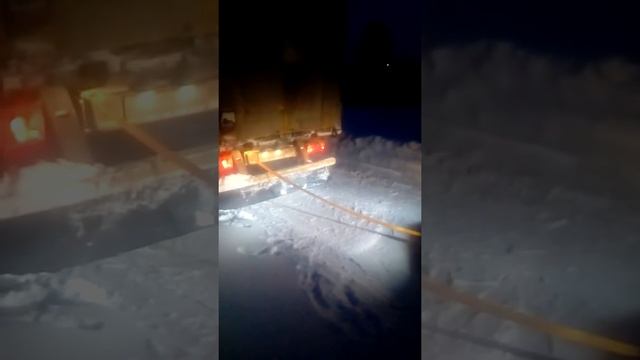 Делика смотреть онлайн