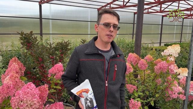 Осенняя подкормка сада. Обзор Фертика Осень от агронома Егорьевского питомника Никитенко Александра смотреть онлайн