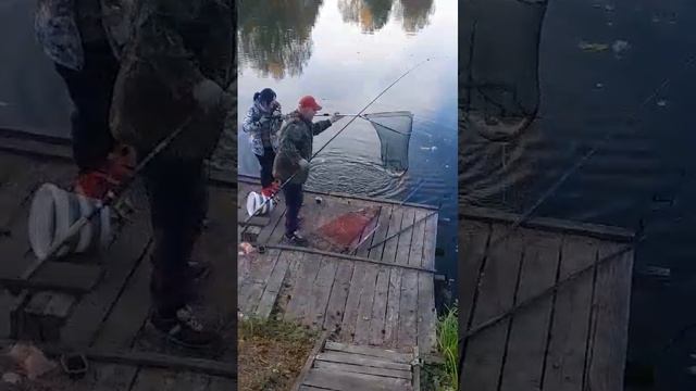большой безлимит смотреть онлайн