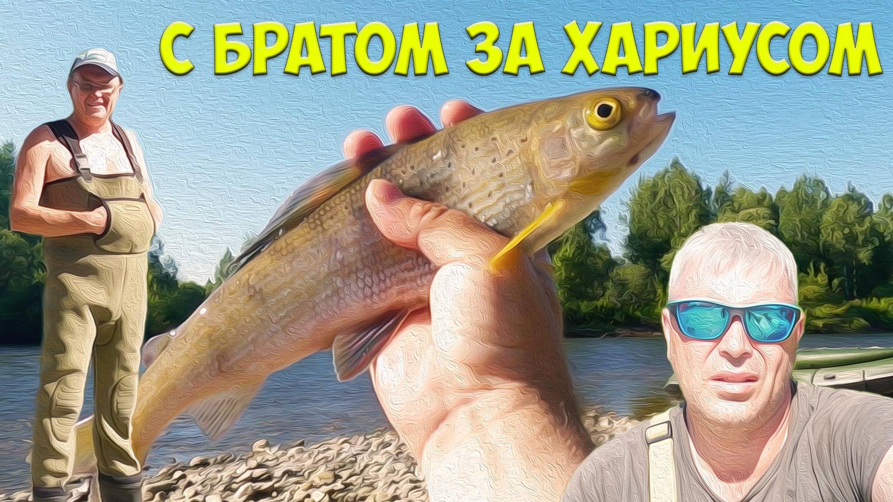С братом на тайдоне, поймал огромного хариуса смотреть онлайн