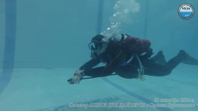 2014_10_01 - Семинар АПНОЭ ДЛЯ ДАЙВЕРОВ с Сергеем Горпинюком смотреть онлайн