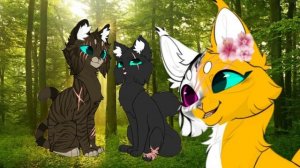 Всё о Комете | я наконец-то сделала это | #котывоители