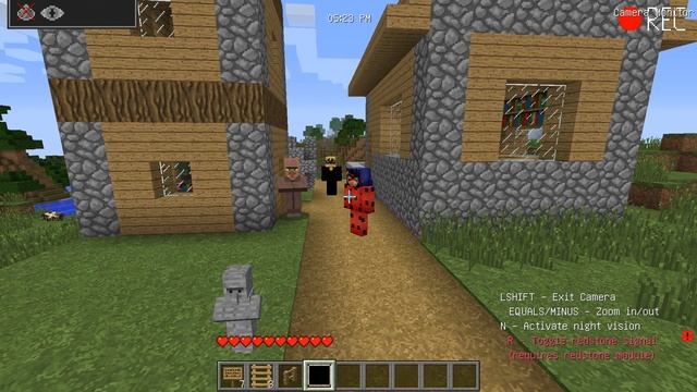 ПРОПАЛИ ЛЕДИ БАГ И СУПЕР КОТ В МАЙНКРАФТ ТРОЛЛИНГ MINECRAFT смотреть онлайн