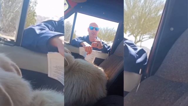 Pulled Over For Going The Speed Limit.! смотреть онлайн