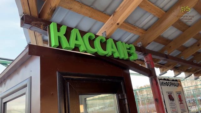 Кассы в егорьевском питомнике смотреть онлайн