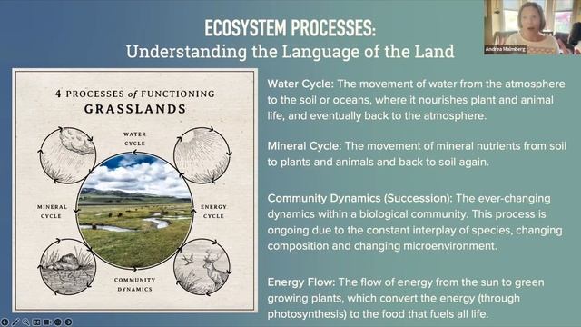 AgSteward Profitable Regeneration Webinar with Andrea Malmberg смотреть онлайн