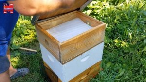 В США запрещено иметь огороды !