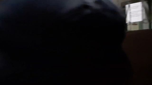 ВЛОМИЛИСЬ В ОВД. БАЛАХНИНСКИЙ БЕСПРЕДЕЛ И РОЗЫСК ВЛАДИМИРА ГОЛУБЕВА.... смотреть онлайн