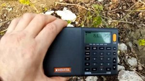 XHData  D 808 обзор приема.(1)