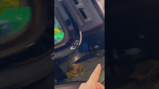 Доработка автозвуком новой Lada Niva! смотреть онлайн