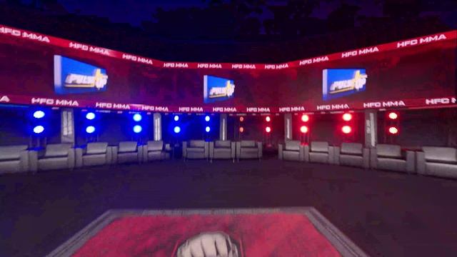 #PulseUp – официальный партнер первой профессиональной лиги HFC (Hardcore Fighting Championship) MMA