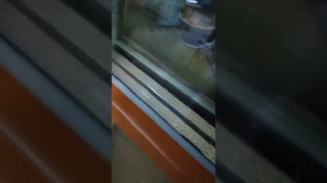 Входная деревянная дверь со стеклопакетом с дуплексом. смотреть онлайн