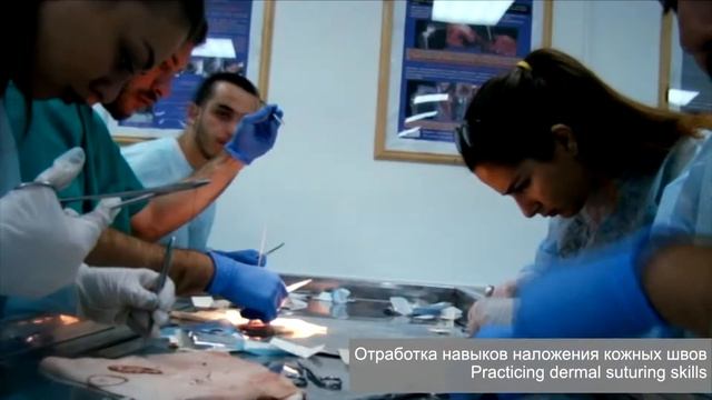 РУДН кружок ветеринарной хирургии смотреть онлайн